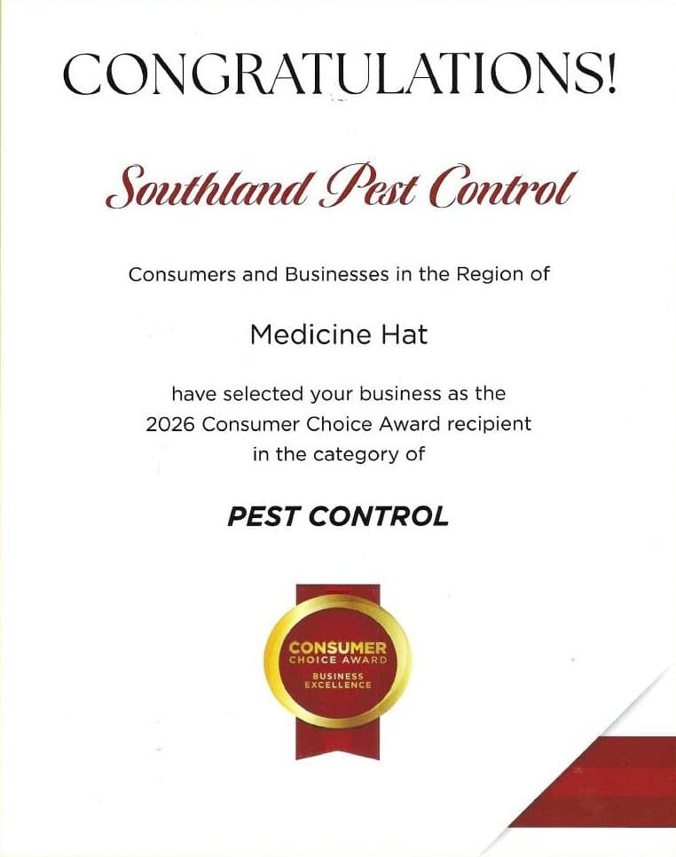 Consumer choice award graphic e1784192465797